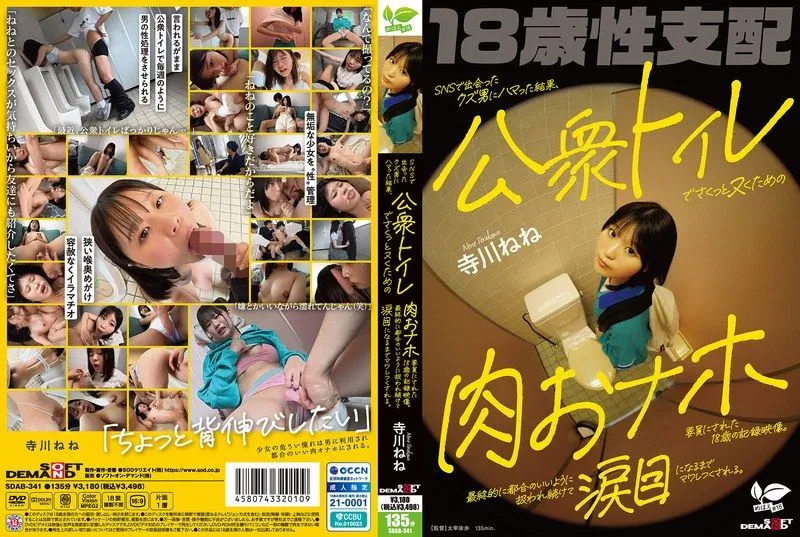 SDAB-341 테라카와 네네