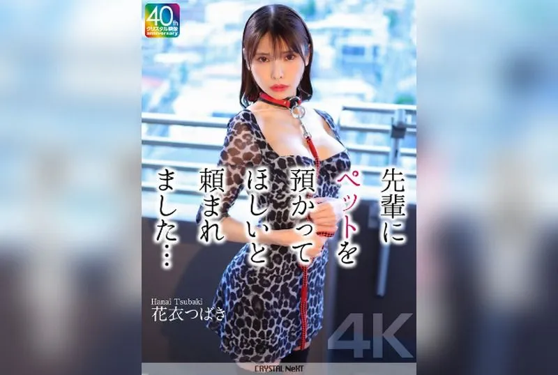 CRNX-254 Hanai Tsubaki