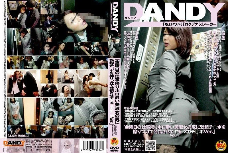 DANDY-113 호시나 레이 / Shinohara Ryo / Takizawa Yuna / Wakatsuki Naomi