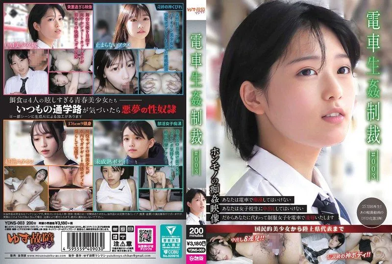 YDNS-003 아야세 코코로