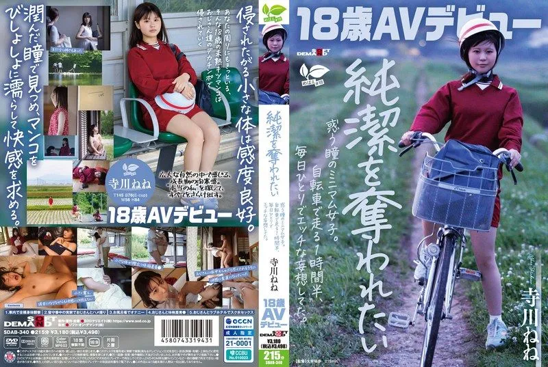 SDAB-340 테라카와 네네