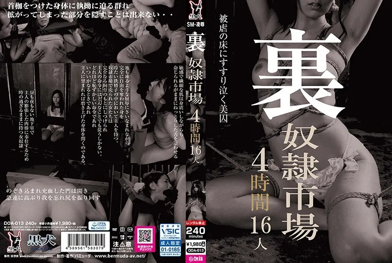 DOA-013 Arisa / 유메미 리아라