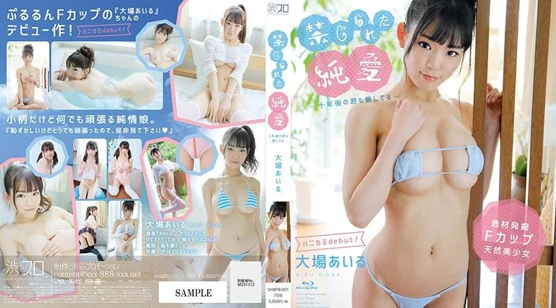 SHIBPB-001 oba Airu