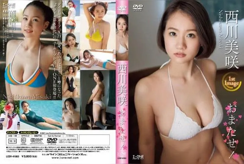 LCDV-41063 Misaki Nisikawa